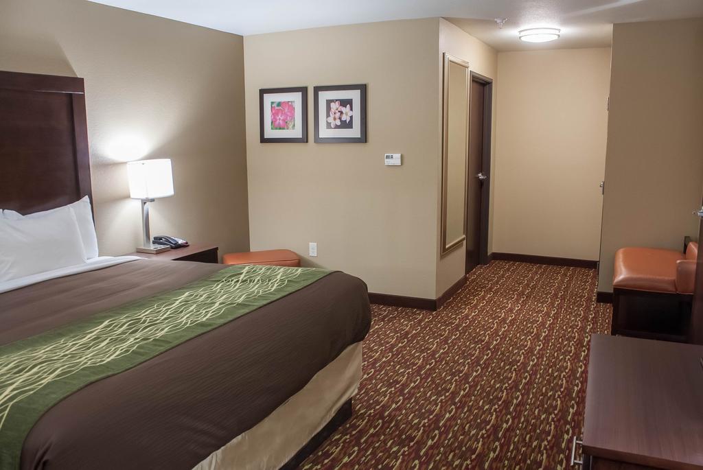 Comfort Inn & Suites Artesia Oda fotoğraf