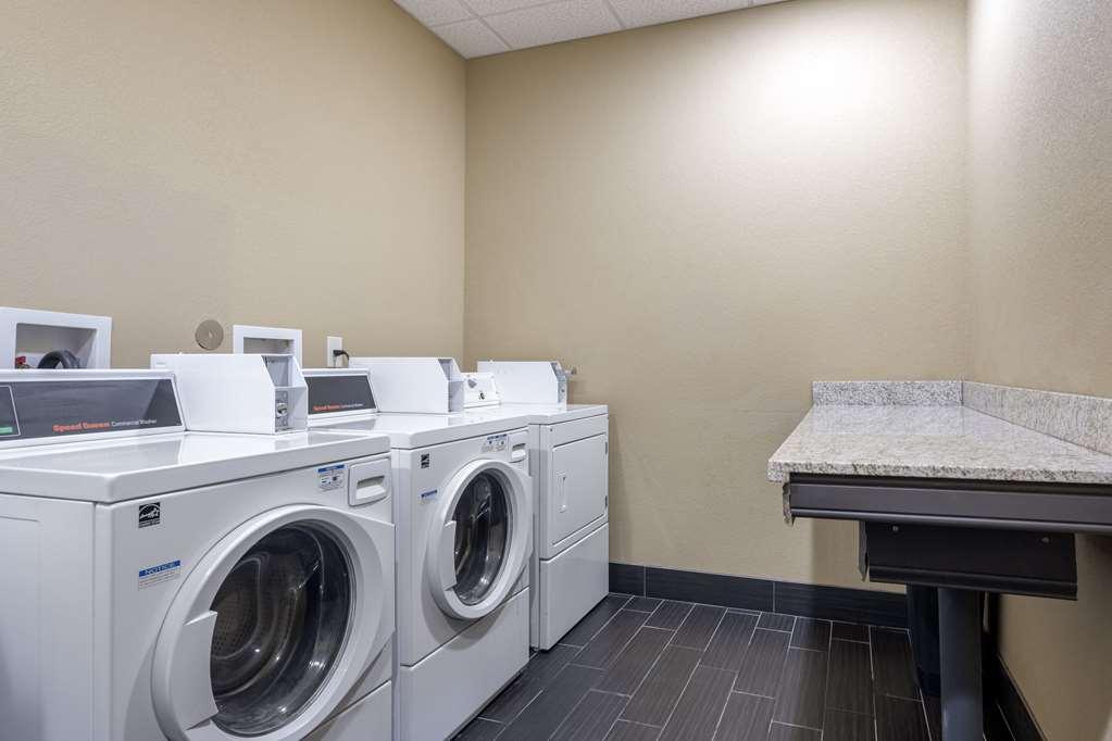 Comfort Inn & Suites Artesia Konforlar fotoğraf